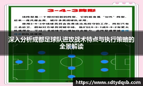 深入分析成都足球队进攻战术特点与执行策略的全景解读