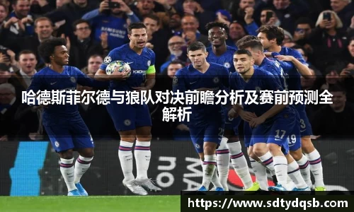 哈德斯菲尔德与狼队对决前瞻分析及赛前预测全解析